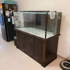 If you're looking at buying a private. 5 Feet Aquarium 5x2x2 Ft C W Cabinet Home Furniture Others On Carousell