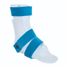 Image result for Orthopichonia