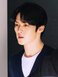 Jisung Novels & Books