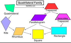 These Are 6 Polygons That Are Quadrilaterals Quadrilaterals Are 4 Sided Shapes That Has The Interior Angel Sum Quadrilaterals Maths Solutions Parallelogram