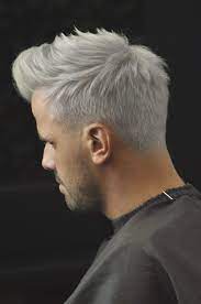 Silver Hair Man Silver Hair Men Silver Hair Men Hair Color
