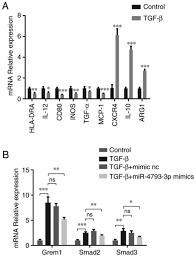 1028 din 9 august 2006 privind cerinţele minime de securitate şi sănătate în muncă referitoare la 319/2006 se aplică în întregime domeniului prevăzut la art. Identification Of Mir 4793 3p As A Potential Biomarker For Bacterial Infection In Patients With Hepatitis B Virus Related Liver Cirrhosis A Pilot Study