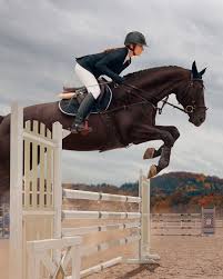 🤔 Você sabe a diferença entre hipismo e equitação? EQUITAÇÃO 👉🏼 É a  técnica de montaria equestre, na arte de montar o cavalo. 👉🏼 A equitação  é recomendada para pessoas que desejam
