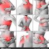 In humans, there are four basic types of tissue: 1