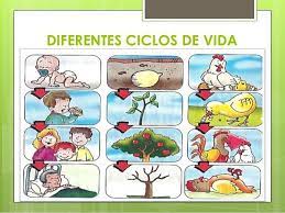 Seres Vivos Un Ser Vivo Es Un Organismo De Alta Complejidad Que Nace Crece Alcanza La Capacidad Para Reproduci Ciclos De Vida Ninos De Preescolar Seres Vivos