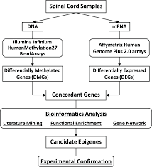 flow chart for genome wide epigenetic and expression