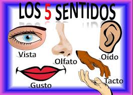 http://www.mundoprimaria.com/lecturas      -infantiles/los-cinco-sentidos-del-cuerpo-humano.html