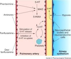 Image result for Dexfenfluramine