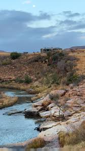 Image result for Xerophyta zimbabwensis