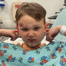 Homemade Krispy Kremes Ingredients For Homemade Krispy Kremes 3 tbsp milk 3  tbsp boiling water 1 tsp dry active yeast 8 oz all purpose flour 1 1/2 oz  sugar 1 egg Full