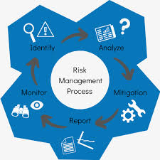 Image result for Risk Management
