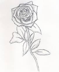 Beautiful rose drawing beautiful pencil sketches flower sketches drawing sketches art drawings rose sketch rose pencil sketch sketching rose drawings. Beautiful Pencil Drawings Of Roses Novocom Top
