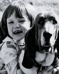 15 Fascinating Basset Hound Facts That You'll Love to Know