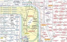 Metabolism And Better Health Ent Wellbeing Sydney Diet And