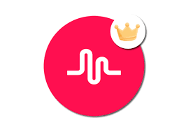 Musical Ly Verification Music Shirt Social App Design Musically Star