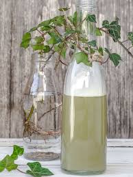 Lessive Maison Au Lierre Et Savon De Marseille Recette Lessive Lessive Maison Produit Menager Fait Maison