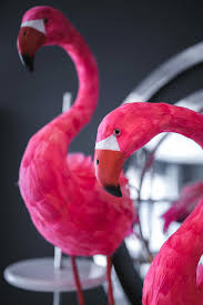 Decorate your living room, bedroom, or bathroom. Hd Wallpaper Pink Flamingo Home Decorations Interior Bird Animal Wildlife Wallpaper Flare