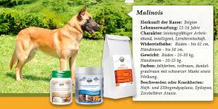 #malinois #belgian malinois #belgian shepherd #heres hopin tumblr doesnt decide my drawings of dogs look too much like wieners #artsy fartsy. Malinois