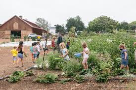 Down here on the farm. Cream Of The Crop 7 Family Friendly Farms You Must Visit