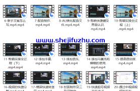 纪录片解说实操课3天入门，快速掌握纪录片解说视频制作- 设计辅助 ...