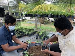 We did not find results for: Program Latihan Industri Kebuna Putrajaya