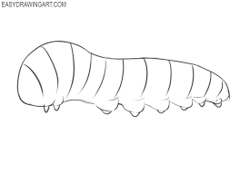 To begin your drawing you can start with a circle, it need not be perfect always try to draw freehand rather than using some tool. How To Draw A Caterpillar Easy Drawing Art Caterpillar Drawing How To Draw A Caterpillar Caterpillar Sketch