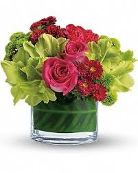 We did not find results for: Teleflora S Beauty Secret In Rochester Ny Genrich S Florist Greenhouse