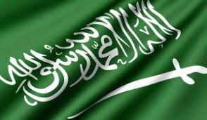 ما قاله عنا الاخرون علماء مفكرون ادباء سياسيون لغتي الخالده الموقع المثالي