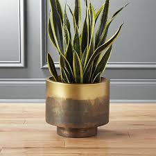 Sahara Brass Planter Reviews Cb2 Planters Brass Planter Flower Pots