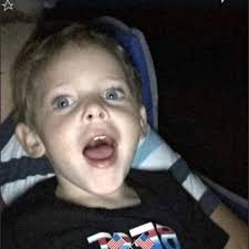 Are the small purple and blue wires needed for Garmin UH2 head transfer?