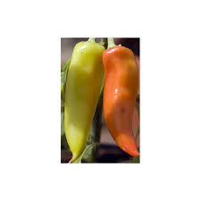 Great for pickling or drying, using in salsa or adding spice to your recipes. Hot Pepper Hungarian Hot Wax 50 Seeds
