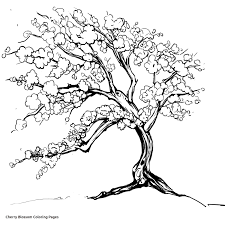Cherry blossoms coloring page printable pages george washington. Cherry Blossom Tree Printable