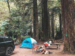 Maybe you would like to learn more about one of these? A Guide To Redwood National Park California Jana Meerman