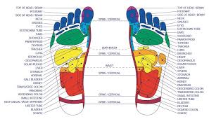 Diagram Of Bottom Of Foot For Reflexology Schematics Online
