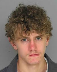 Teen charged with molesting 5-year-old girl