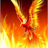 The best selection of royalty free phoenix bird vector art, graphics and stock illustrations. Https Encrypted Tbn0 Gstatic Com Images Q Tbn And9gcqt20xnjoshiyhcl3klkqdql2hwgtaybuizz3urenozstot0yco Usqp Cau
