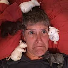 Stream Brain Rats by Barbara McAfee