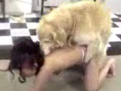 Zoofilia mulher engatada com cachorro. Cachorro Transando Com Mulher Porno Bizarro Sexo Gratis Online Porn Video At Mobile