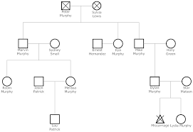 3 Generation Genogram Template Sample Templates