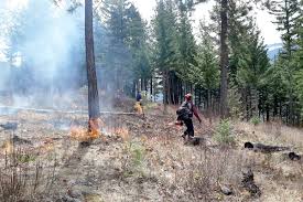 Bc wildfire service (bcws) is the wildfire suppression service of the canadian province of british columbia. Simpcw And Bc Wildfire Service To Hold Controlled Burn Near Barriere Clearwater Times