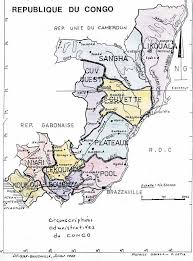 Image result for Aneulophus congoensis