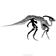 Detailed and accurate parasaurolophus coloring page for dinosaurs fans. Dibujo De Esqueleto De Parasaurolophus Para Colorear Ultra Coloring Pages
