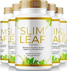 slimleaf how to use,
slimleaf ingredients,
where can you buy slimleaf,
buy slimleaf,
slimleaf,
slimleaf 2025,
slimleaf 2026,
slimleaf 2027,
slimleaf 2028,
slimleaf 2029,
slimleaf 2030,
slimleaf review,
slimleaf review 2025,
slimleaf review 2026,
slimleaf review 2027,
slimleaf review 2028,
slimleaf review 2029,
slimleaf review 2030,
slimleaf reviews,
slimleaf reviews 2025,
slimleaf reviews 2026,
slimleaf reviews 2027,
slimleaf reviews 2028,
slimleaf reviews 2029,
slimleaf reviews 2030,
slimleaf coupon code,
slimleaf coupon code 2025,
slimleaf coupon code 2026,
slimleaf coupon code 2027,
slimleaf coupon code 2028,
slimleaf coupon code 2029,
slimleaf coupon code 2030,
slimleaf official website,
slimleaf results,
slimleaf price,
slimleaf daily supplement tablets 1,
slimleaf coupon,
how long does it take for slimleaf to work,
how to take slimleaf,
para que sirve slimleaf,
slimleaf at walgreens,
slimleaf before after,
difference between vigrx and slimleaf,
slimleaf ingredients list,
is slimleaf legit,
performer 8 vs slimleaf,
slimleaf before and after,
slimleaf before after pictures,
slimleaf official,
slimleaf reviews reddit,
slimleaf results before after,
slimleaf results after 1 month,
slimleaf purchase,
slimleaf reddit,
slimleaf kaufen Deutschland,
slimleaf ingredients composition,
slimleaf gnc,
slimleaf for sale,
slimleaf ebay,
slimleaf discount,
slimleaf directions,
slimleaf before and after photos,
leading edge health slimleaf,
extenze vs slimleaf,
erectin vs slimleaf,
slimleaf user reviews,
where to get slimleaf,
are slimleaf results permanent,
does slimleaf increase size,
does slimleaf increase testosterone,
does slimleaf work immediately,
how much is slimleaf,
can i buy slimleaf in Australia,
can i take slimleaf together with extenze plus,
can i take slimleaf without partner,
can slimleaf be bought over the counter,
can you buy slimleaf at gnc,
can you buy slimleaf in stores,
can you buy slimleaf over the counter,
can you take slimleaf without food,
cuánto cuesta slimleaf en méxico,
does gnc sell slimleaf,
does slimleaf expire,
does slimleaf increase blood pressure,
does slimleaf increase size permanently,
does slimleaf increase sperm count,
does slimleaf make you bigger,
does slimleaf really make you bigger,
does slimleaf work reviews,
does slimleaf work with alcohol,
does slimleaf work without exercise,
does slimleaf work yahoo,
how can i use slimleaf,
how fast does slimleaf work,
how long before slimleaf works,
how long for slimleaf to work,
how long does slimleaf last,
how long should i take slimleaf,
how long till slimleaf works,
how long to see results from slimleaf