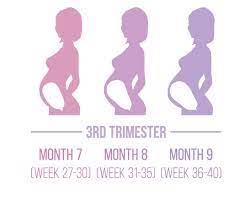 Third Trimester Safe Sleep Academy