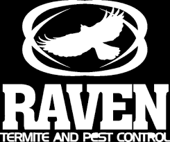 Case Study Raven Termite Pest Control Eyler Creative