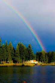 Illustration des regenbogens auf weiß. Regenbogen Und Schone Baume Stockbild Bild Von Liebe Tanten 48479643