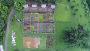 Martha Stewart S Home Was Shot By A Drone Garden Layout Vegetable Martha Stewart Home Aerial Photo