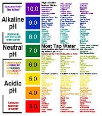 Daily Protein Intake Chart Based On Weight And Lifestyle In