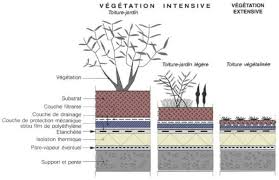Toiture Vegetalisee Toit Vegetal Toiture Vegetalisee Toiture Toiture Verte