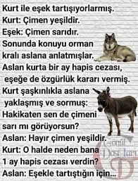 Aslanlardan Ceza Almamak Icin Esseklerle Tartismamali Komik Deyisler Komik Fikralar Ilham Verici Sozler
